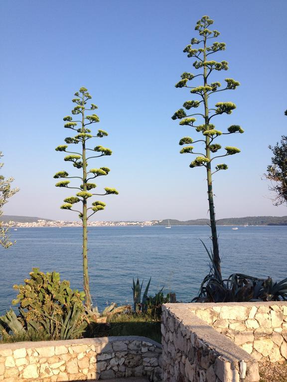 Calypso Apartmán Trogir