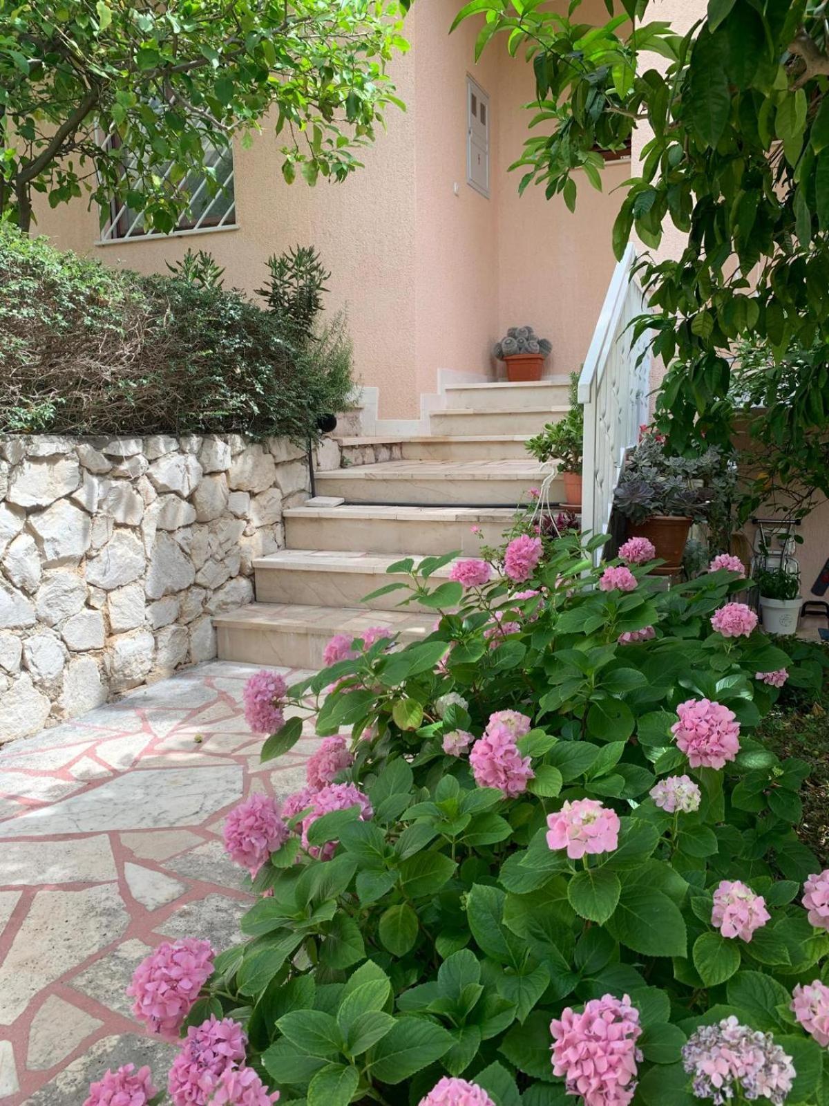 Calypso * Trogir