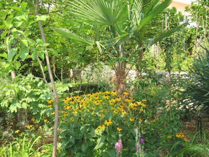 Apartament Calypso