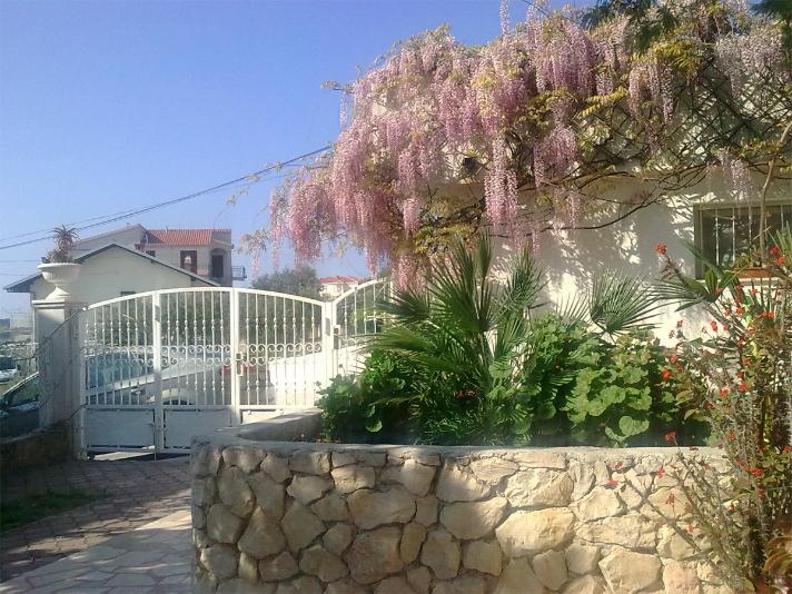 Calypso Apartmán
