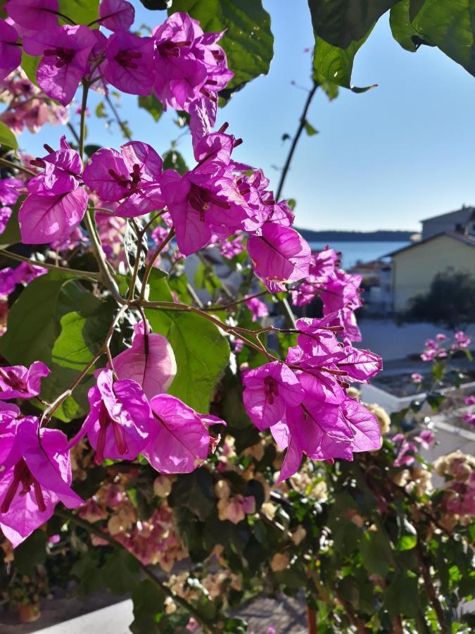 Apartament Calypso *